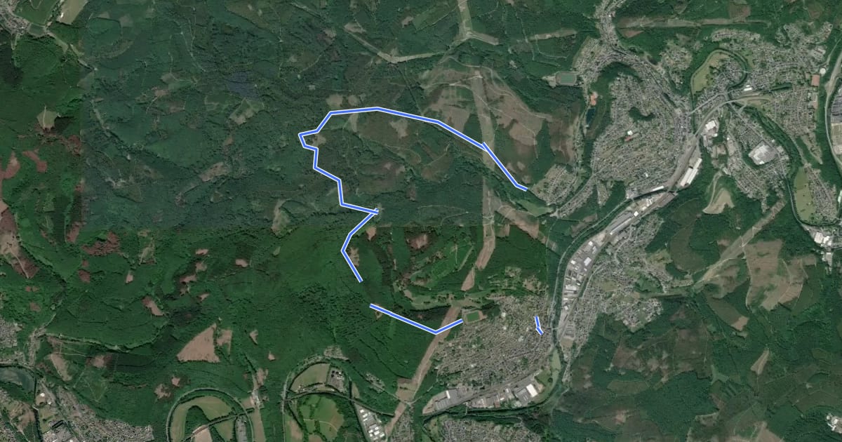 Маршрут Wanderweg Mudersbach M5 на спутниковом снимке