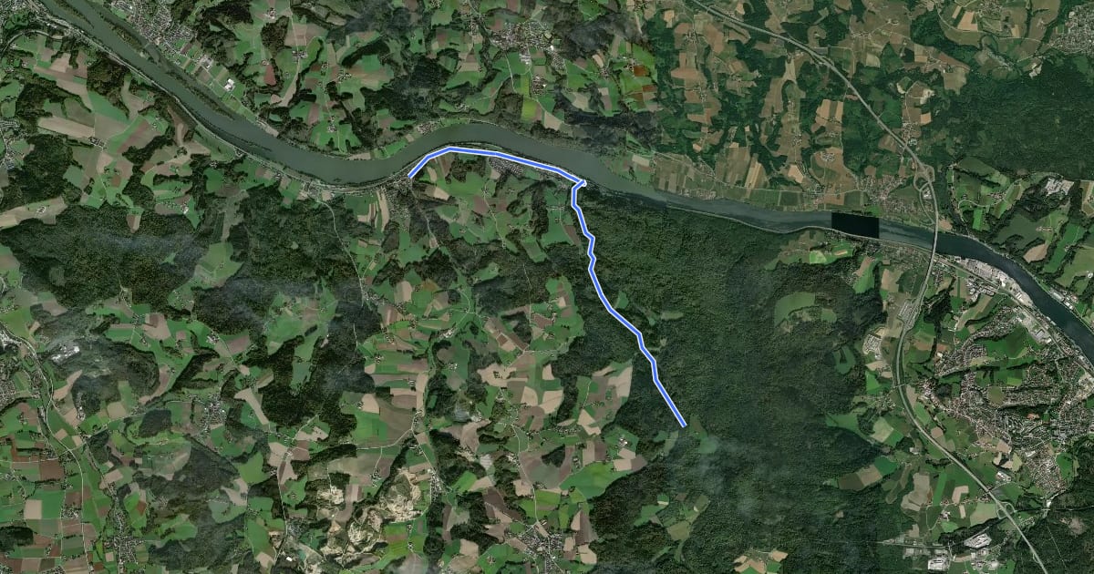 Маршрут Wanderweg Nr. 8 на спутниковом снимке