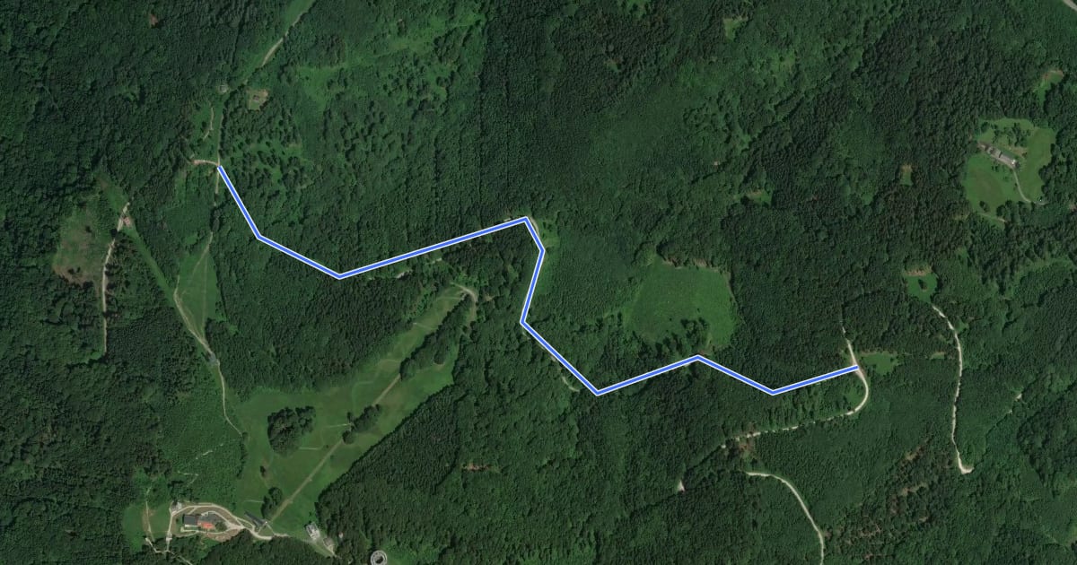 Маршрут Wanderweg Ortnersteig - Franzl im Holz на спутниковом снимке