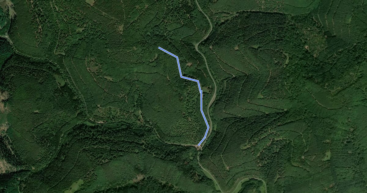 Маршрут Wanderweg P Zwiesel - Kirschfelsen на спутниковом снимке
