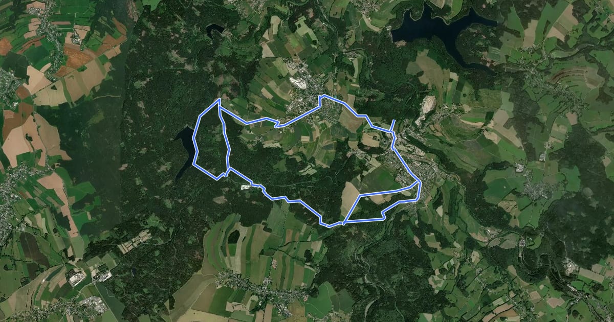 Маршрут Wanderweg Pockau-Lengefeld-Talsperre Neunzenhain II-Kalkwerk-Ulmknochen на спутниковом снимке