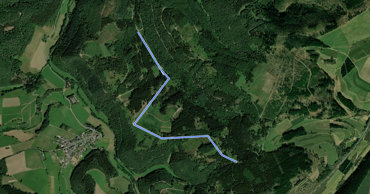 Маршрут Wanderweg (R) Kaltenborn на спутниковом снимке