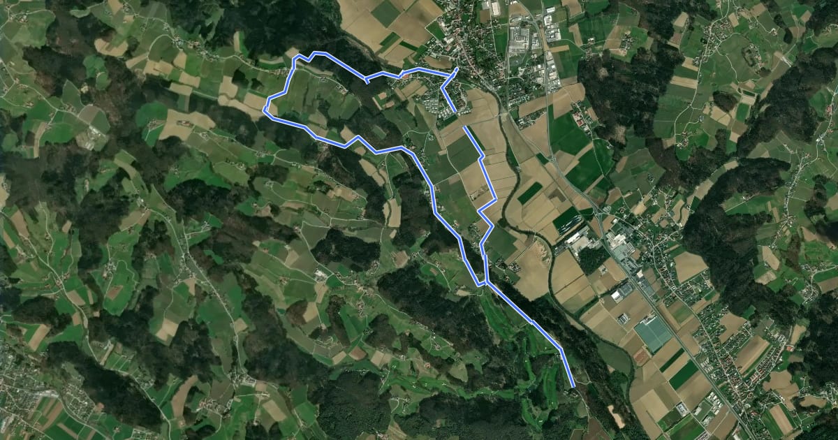 Маршрут Wanderweg Rauchenbergweg на спутниковом снимке