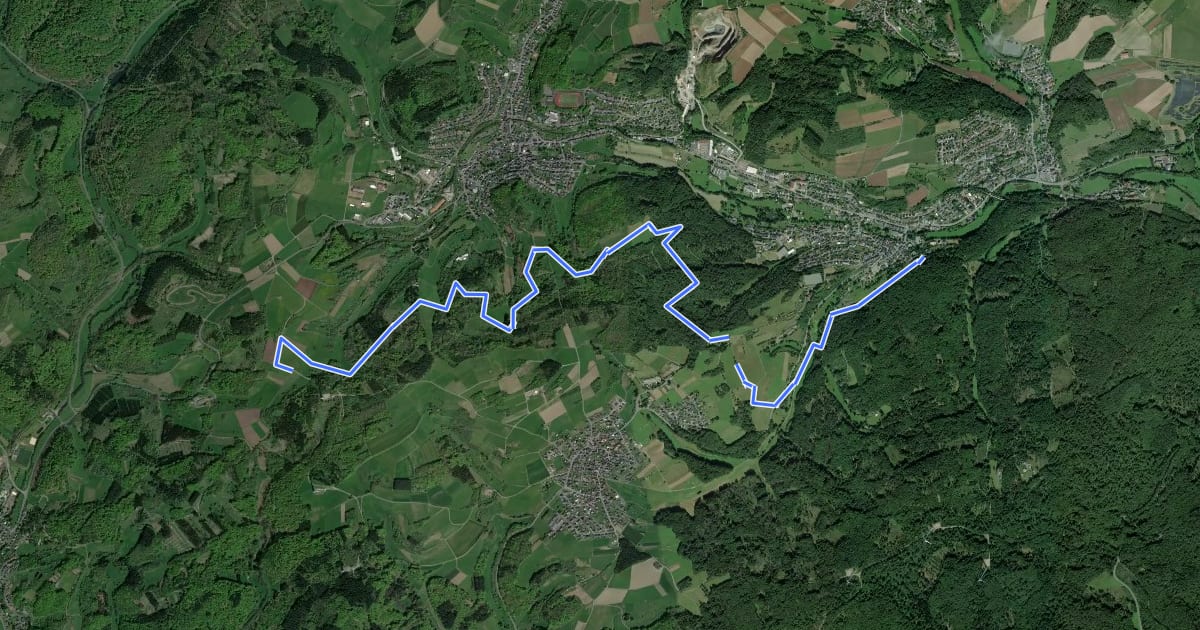 Маршрут Wanderweg S на спутниковом снимке