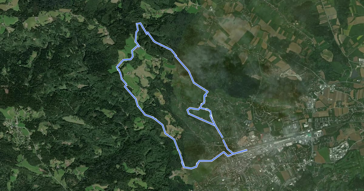 Маршрут Wanderweg S на спутниковом снимке