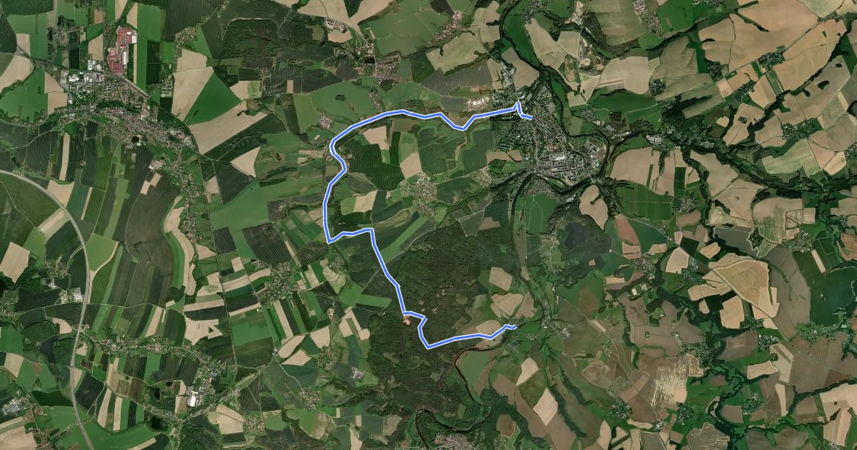 Маршрут Wanderweg Sörnzig – Welsche – Rochlitz на спутниковом снимке