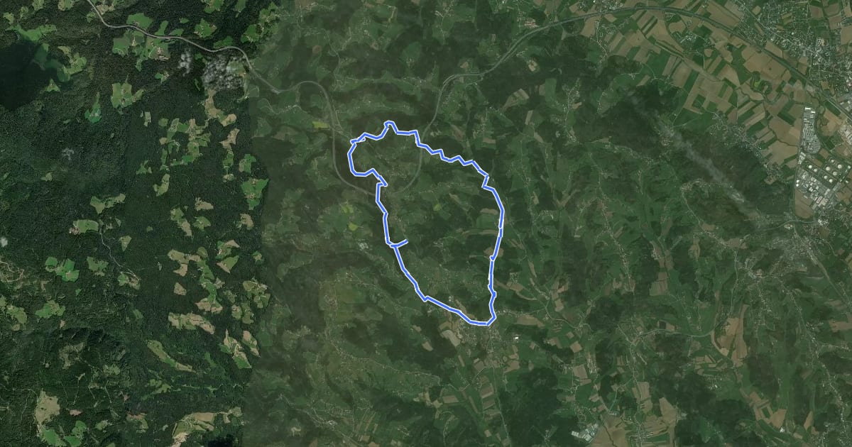 Маршрут Wanderweg S1 на спутниковом снимке