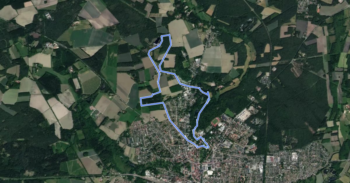 Маршрут Wanderweg Schmetterling на спутниковом снимке