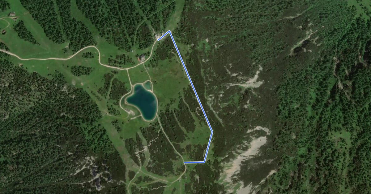 Маршрут Wanderweg Schneeofen на спутниковом снимке