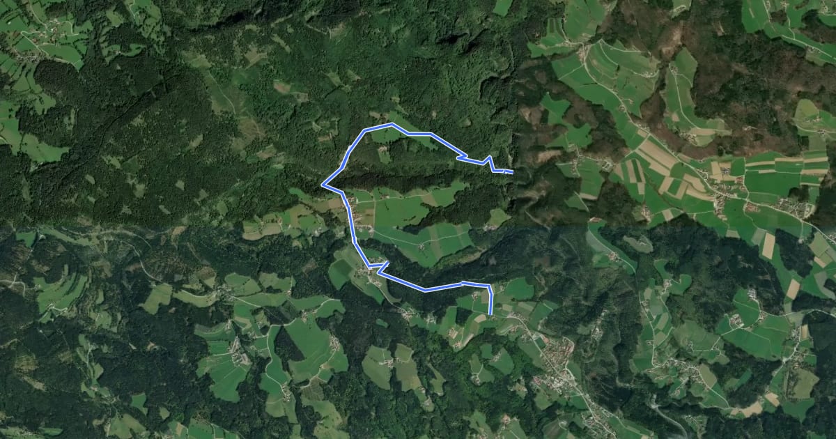 Маршрут Wanderweg Stausee Raabklamm - Gutenberg на спутниковом снимке