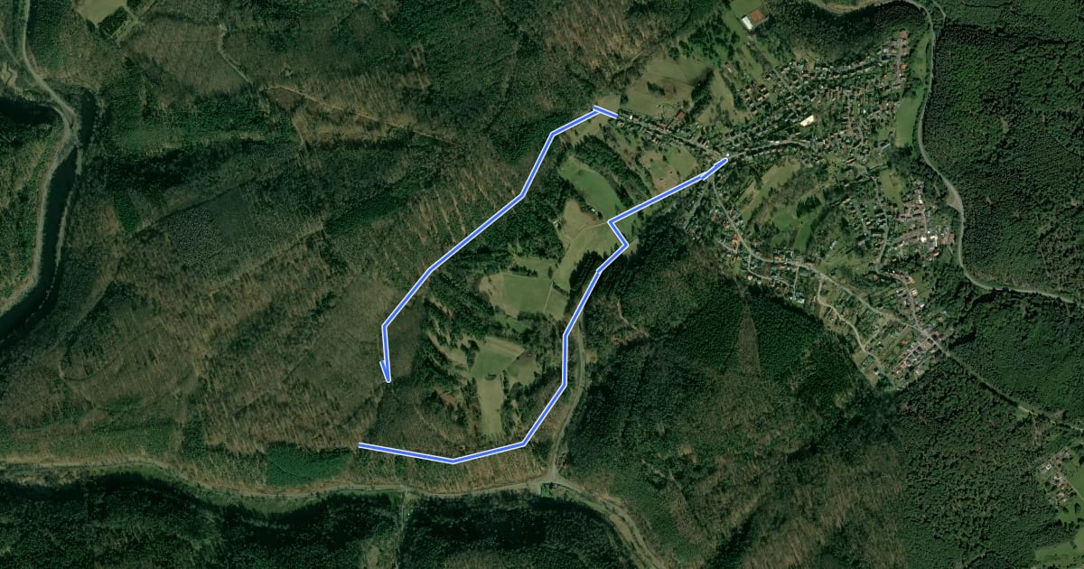 Маршрут Wanderweg Stelzenberg Horst 4 на спутниковом снимке