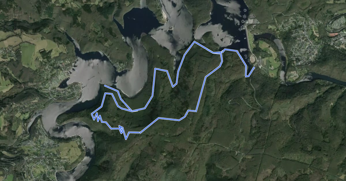 Маршрут Wanderweg T2 ( Heimbach) на спутниковом снимке