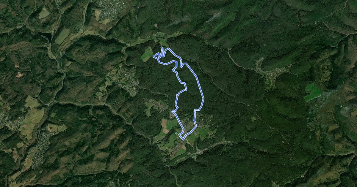 Маршрут Wanderweg Trippstadt 1 на спутниковом снимке