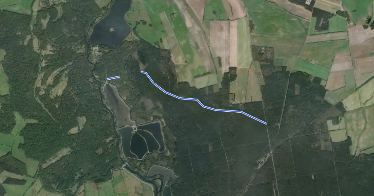 Маршрут Wanderweg Verbindungsstraße Lübben-Schlepzig на спутниковом снимке