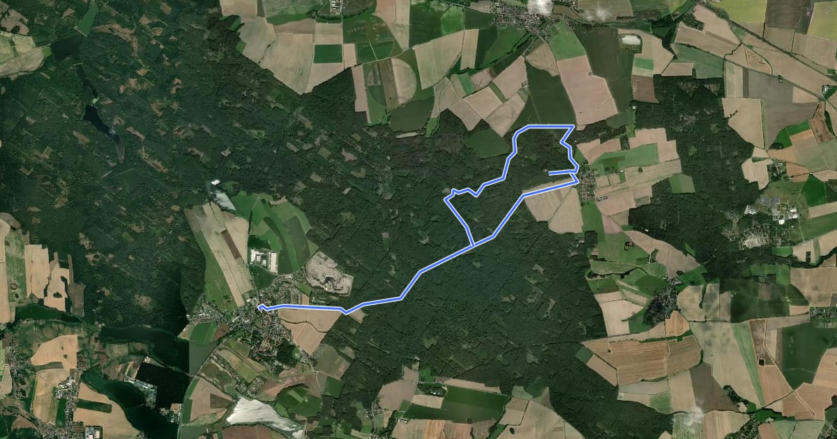 Маршрут Wanderweg "Von Wermsdorf zum Collm" на спутниковом снимке