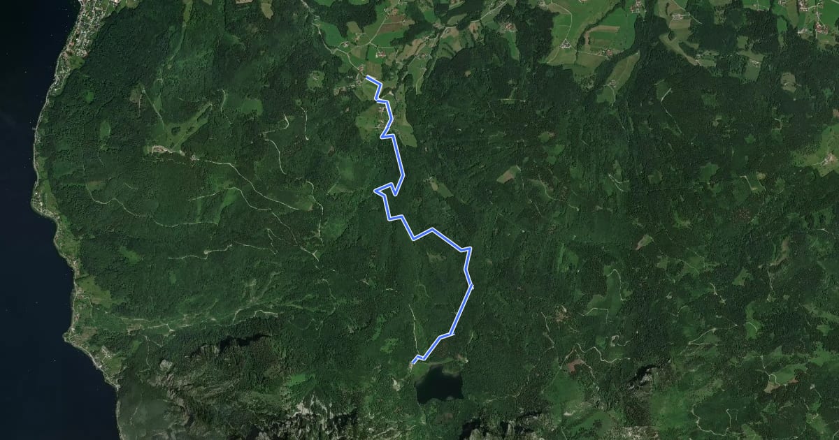 Маршрут Wanderweg W10 Wamering на спутниковом снимке