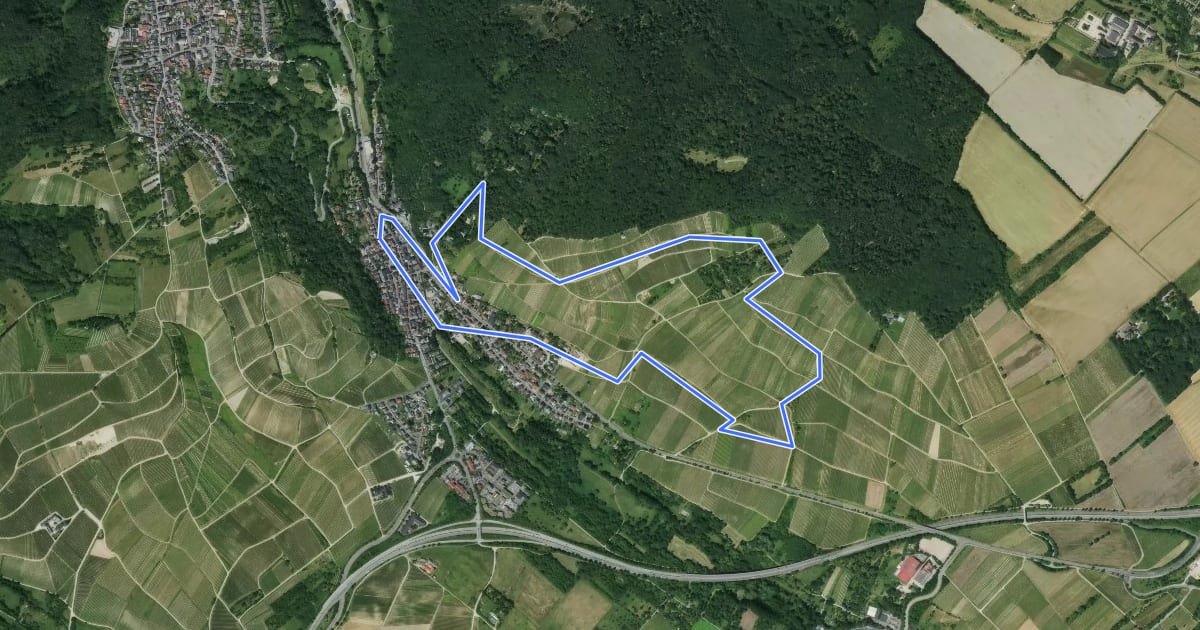 Маршрут Wanderweg Wappen на спутниковом снимке