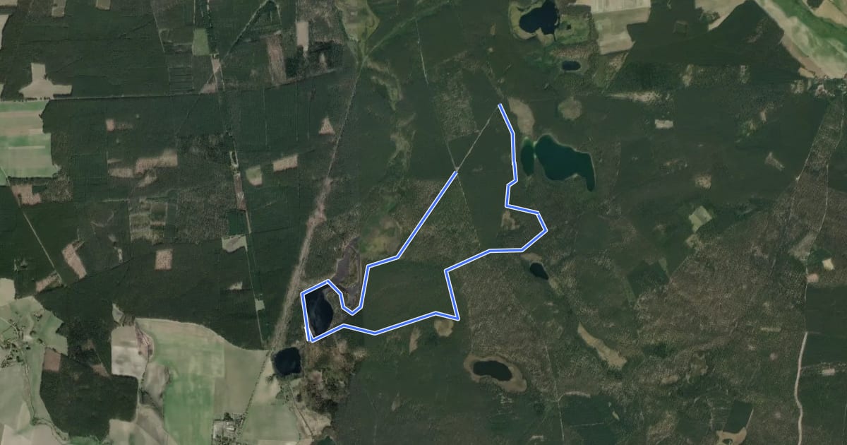 Маршрут Wanderweg Wildnispfad на спутниковом снимке