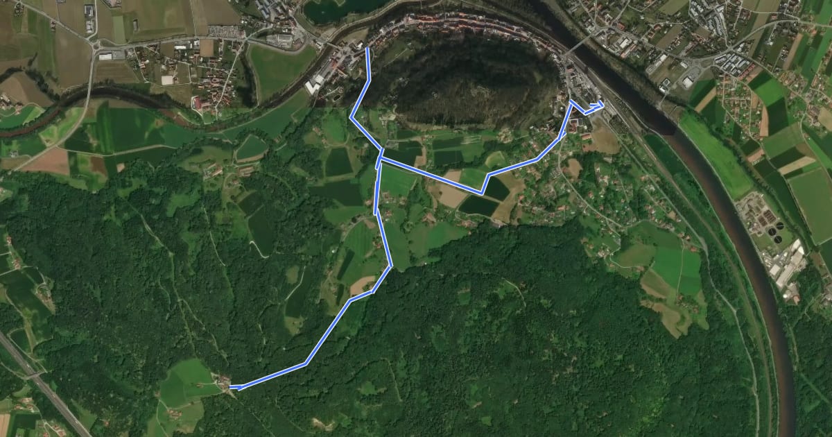 Маршрут Wanderweg Wildon - Bockmoar на спутниковом снимке
