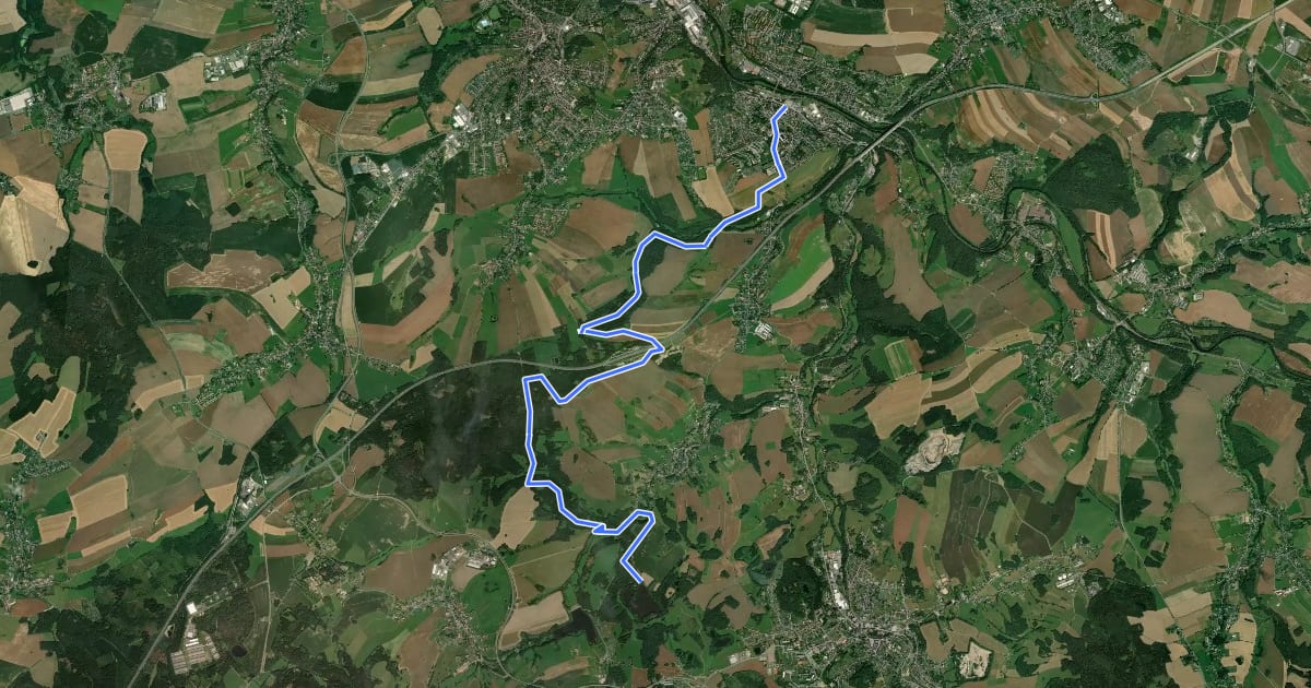 Маршрут Wanderweg Wilkau-Haßlau – Quarksteine – Niedercrinitz – Filzteich (gelb) на спутниковом снимке