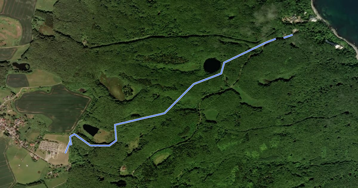 Маршрут Wanderweg zum Königstuhl на спутниковом снимке