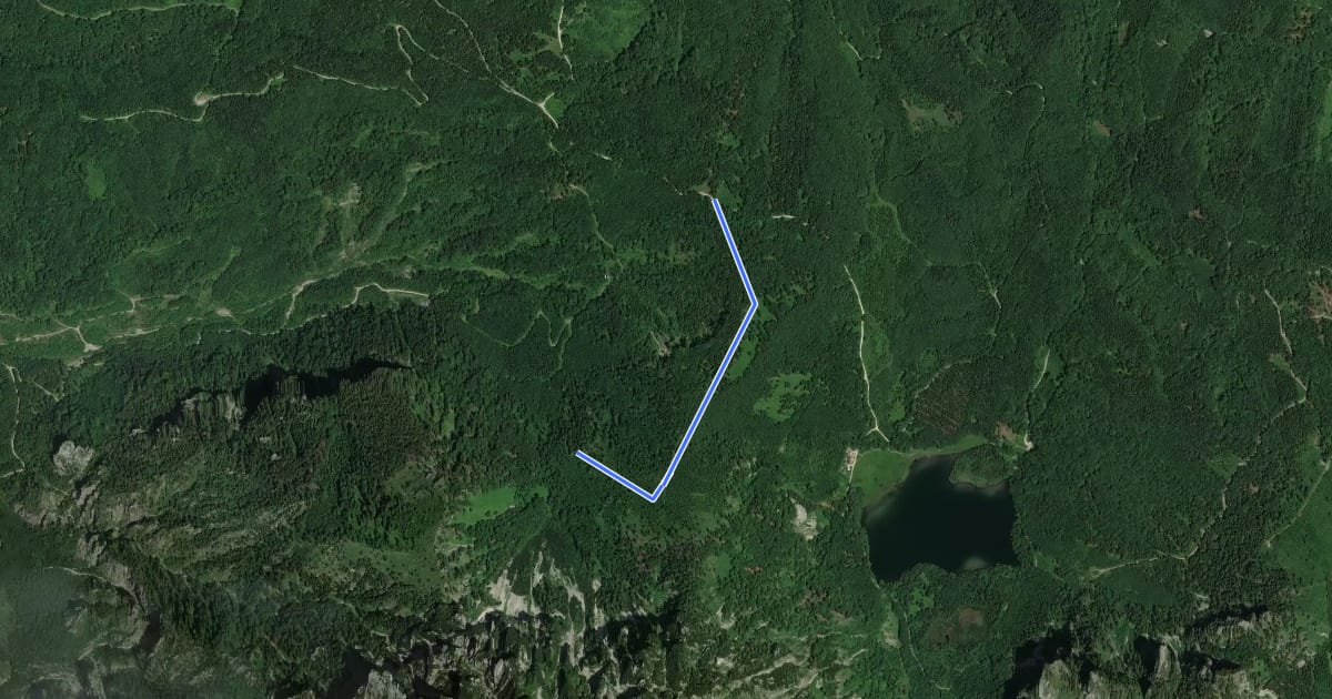 Маршрут Wanderweg zur Freundschaftshöhe на спутниковом снимке