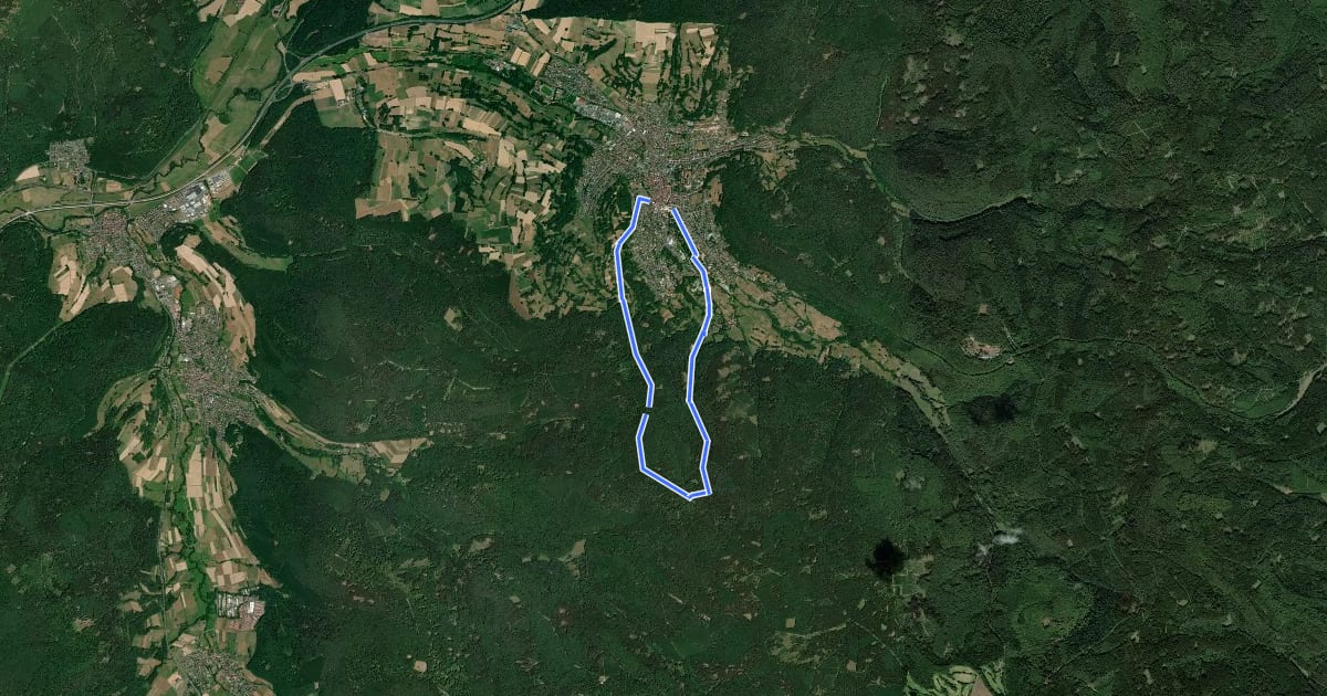 Маршрут Wanderwege Bad Orb Nr. 5 на спутниковом снимке