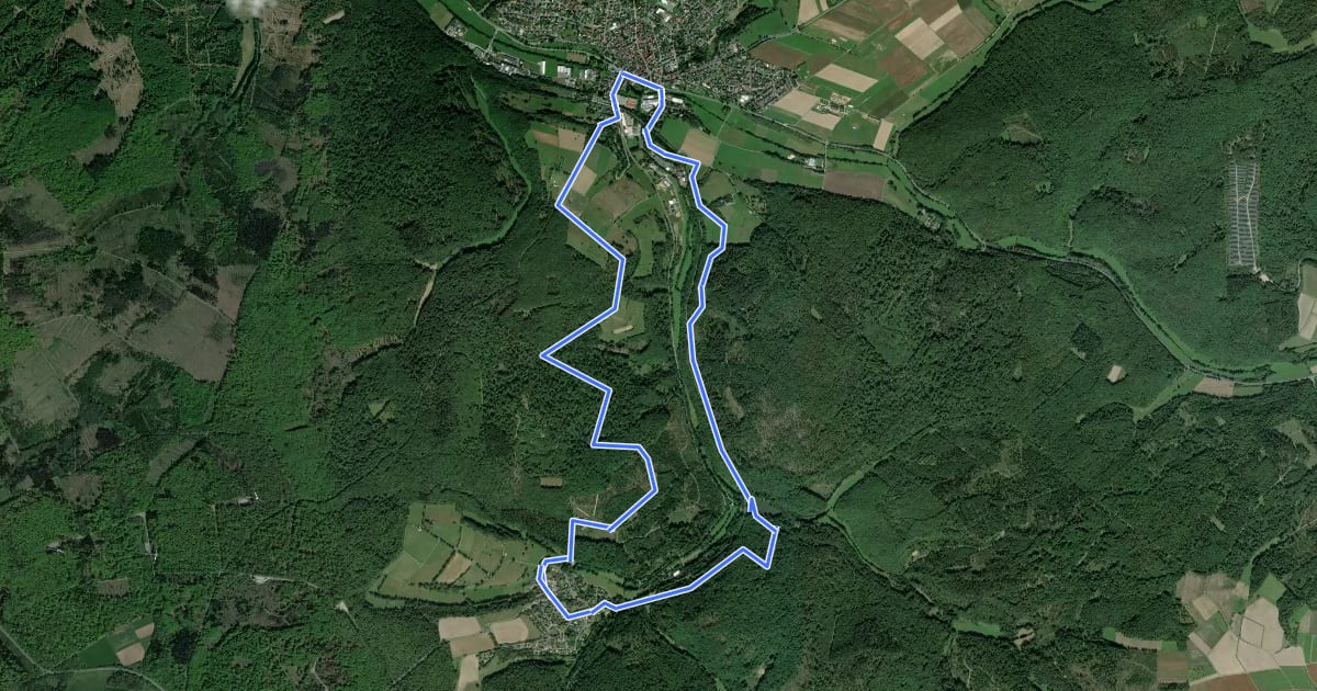Маршрут Wanderwege Brandoberndorf - Hirschkäfer на спутниковом снимке