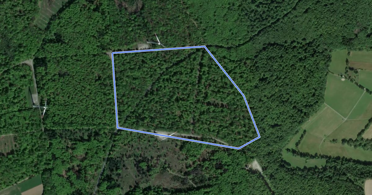 Маршрут Wanderwege Grävenwiesbach - Eichenblatt на спутниковом снимке