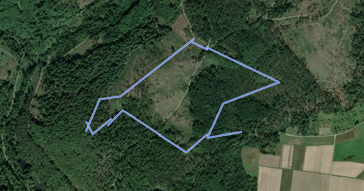 Маршрут Wanderwege Hausberg - Hirschkäfer на спутниковом снимке