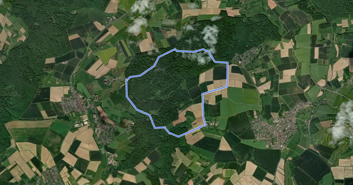 Маршрут Wanderwege im Ronneburger Wald Nr.3 на спутниковом снимке