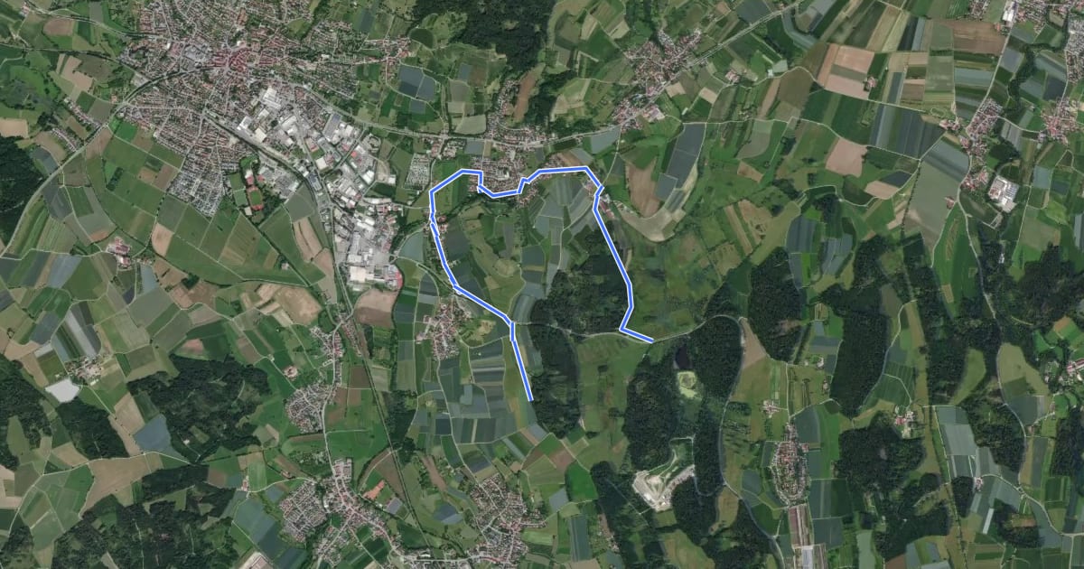 Маршрут Wanderwege Markdorf: Froschweg на спутниковом снимке