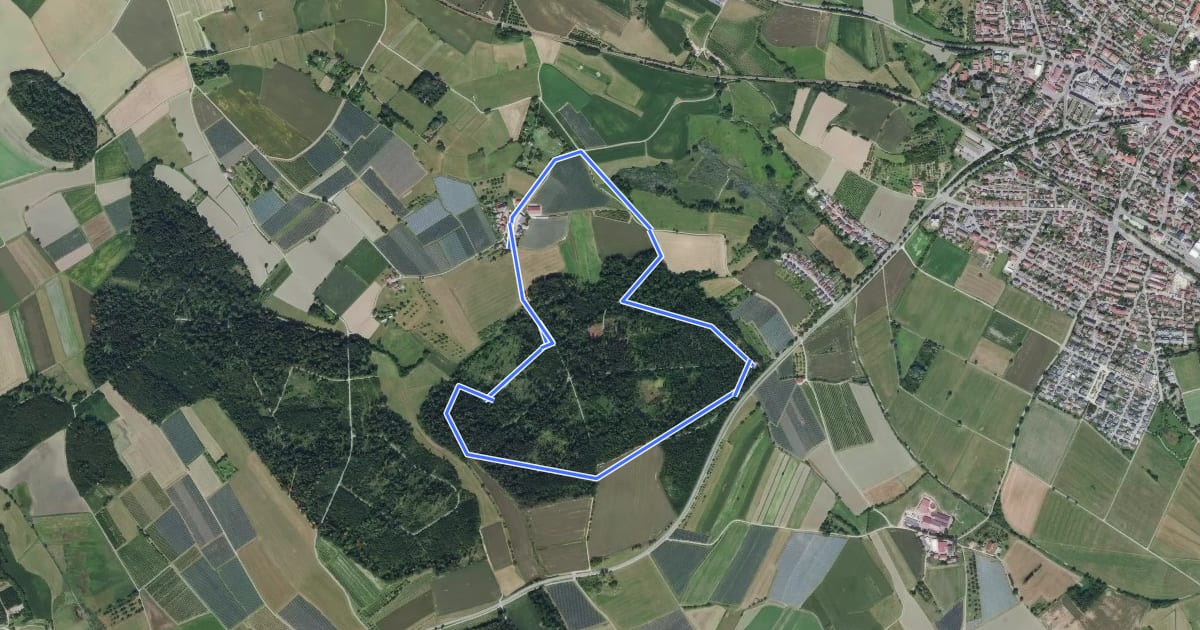 Маршрут Wanderwege Markdorf: Hirschweg на спутниковом снимке