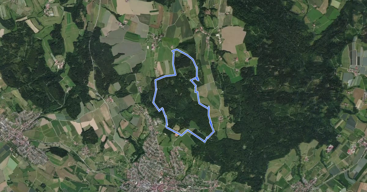 Маршрут Wanderwege Markdorf: Pferdweg на спутниковом снимке