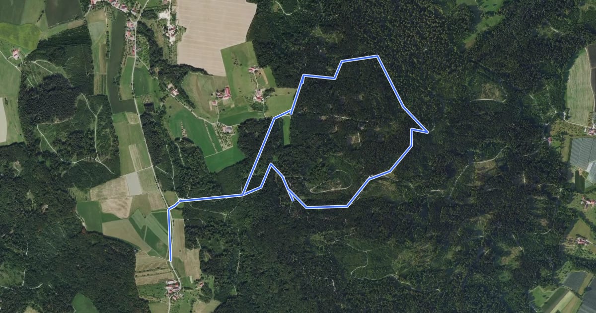 Маршрут Wanderwege Markdorf: Wildschweinweg на спутниковом снимке