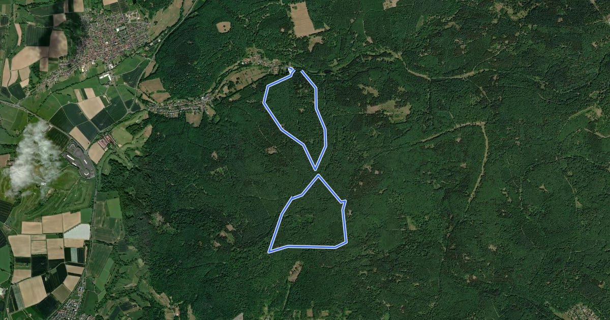 Маршрут Wanderwege "Rund um die Gettenbacher Weiher" Nr.3 на спутниковом снимке