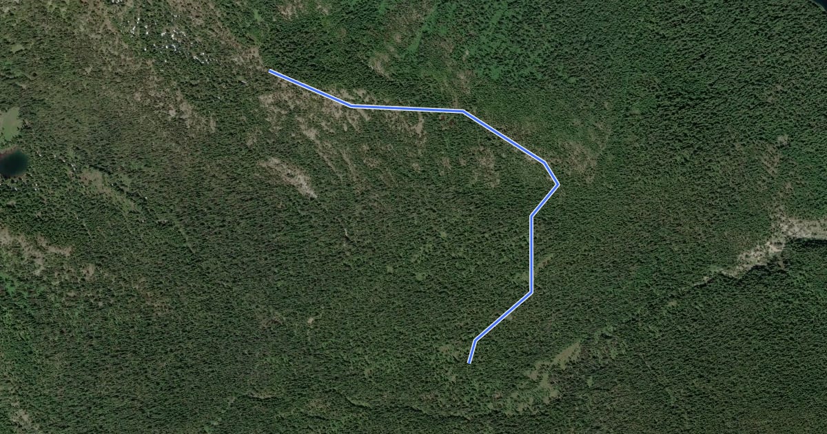 Маршрут Waptus Burn Trail на спутниковом снимке