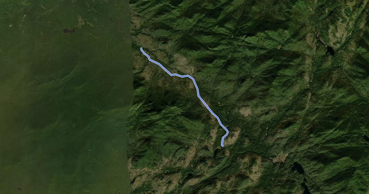 Маршрут Ward Brook Truck Trail на спутниковом снимке