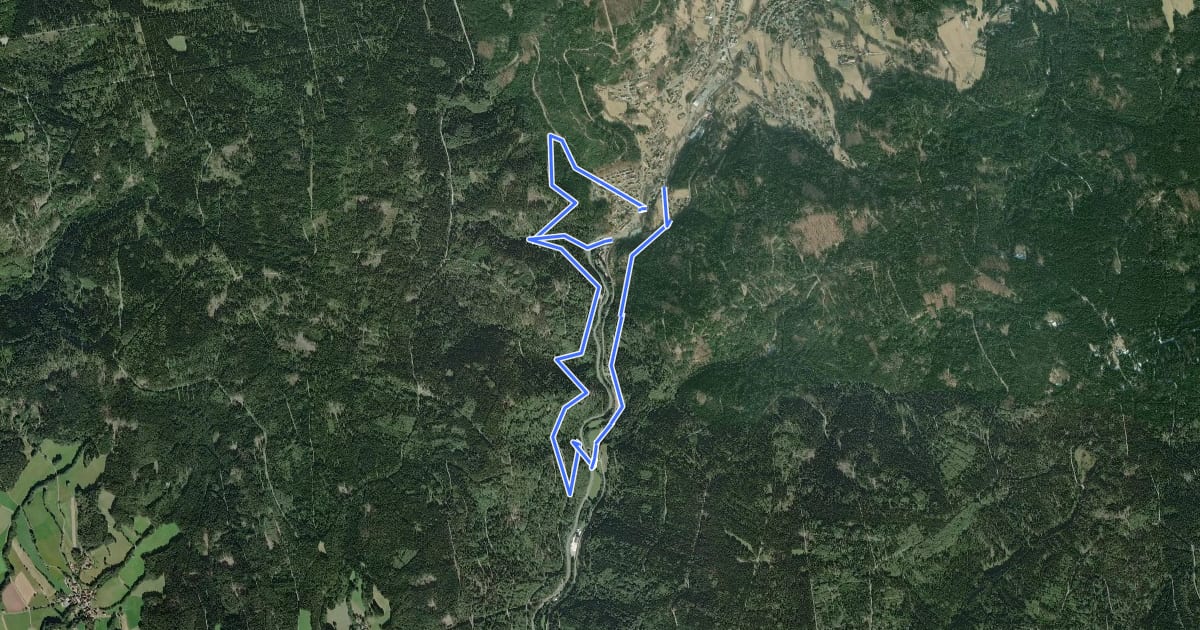 Маршрут Warmensteinach Rundwanderweg Nr. 10 на спутниковом снимке