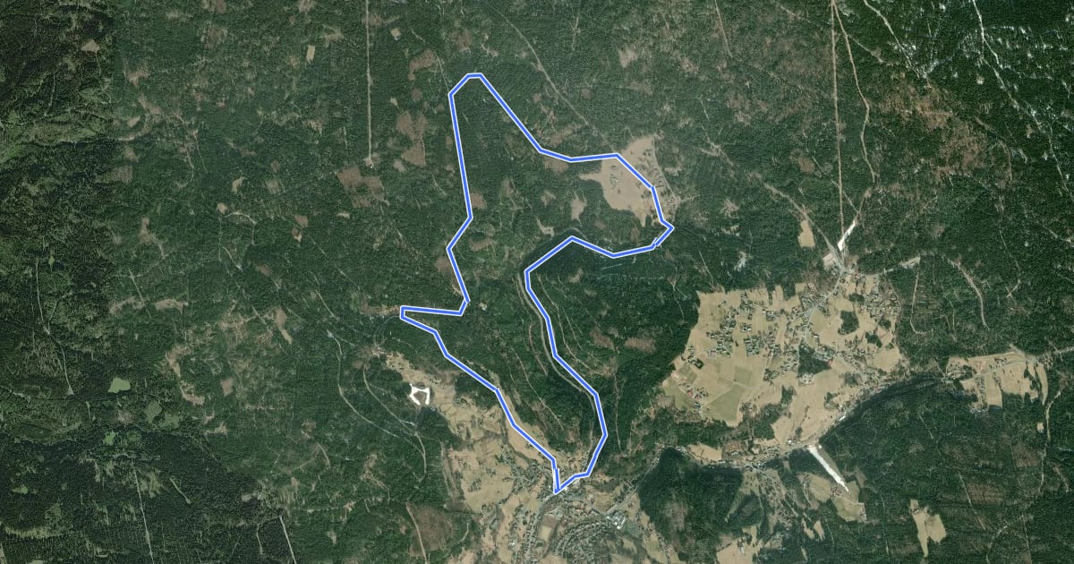 Маршрут Warmensteinach Rundwanderweg Nr. 2 на спутниковом снимке