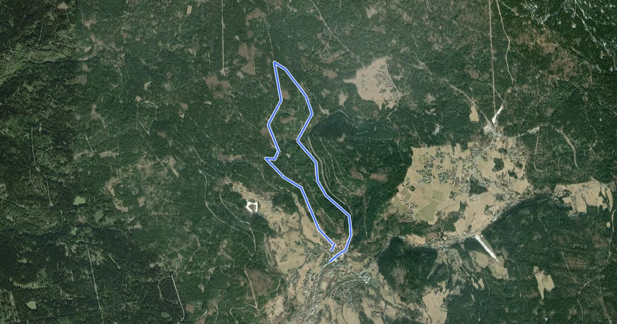 Маршрут Warmensteinach Rundwanderweg Nr. 3 на спутниковом снимке