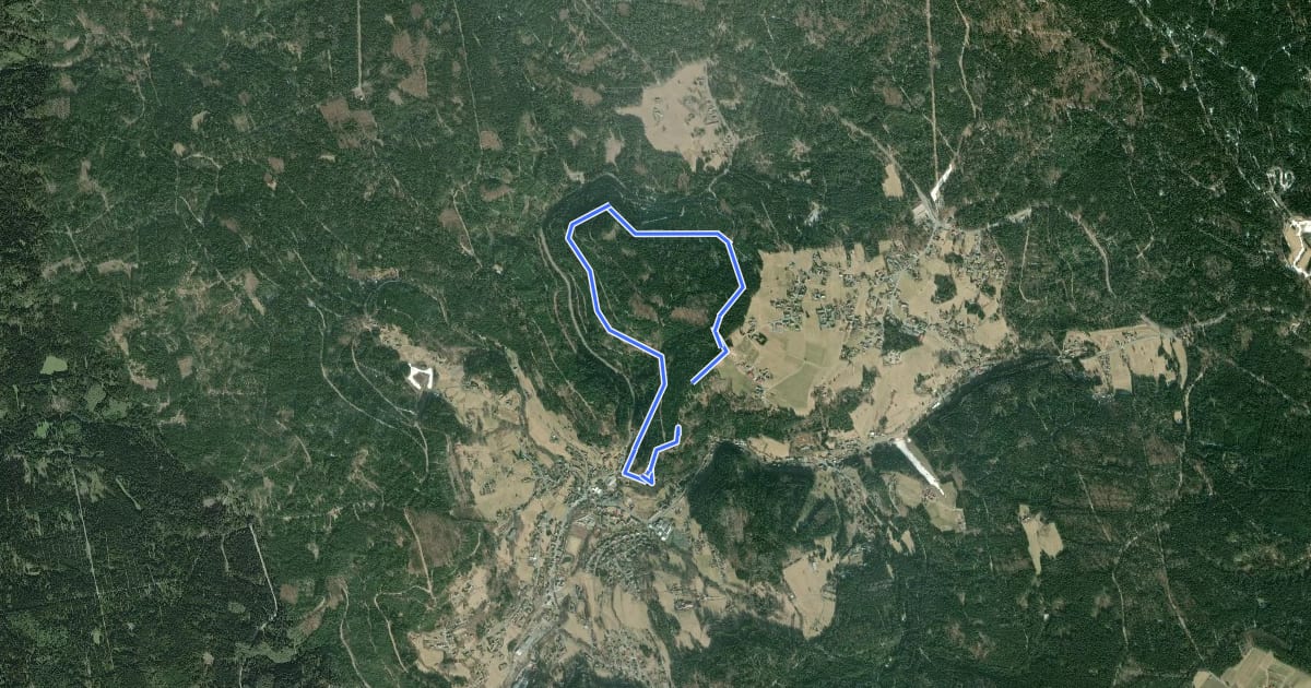 Маршрут Warmensteinach Rundwanderweg Nr. 4 на спутниковом снимке