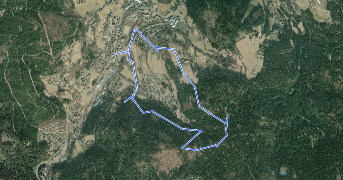 Маршрут Warmensteinach Rundwanderweg Nr. 6 на спутниковом снимке