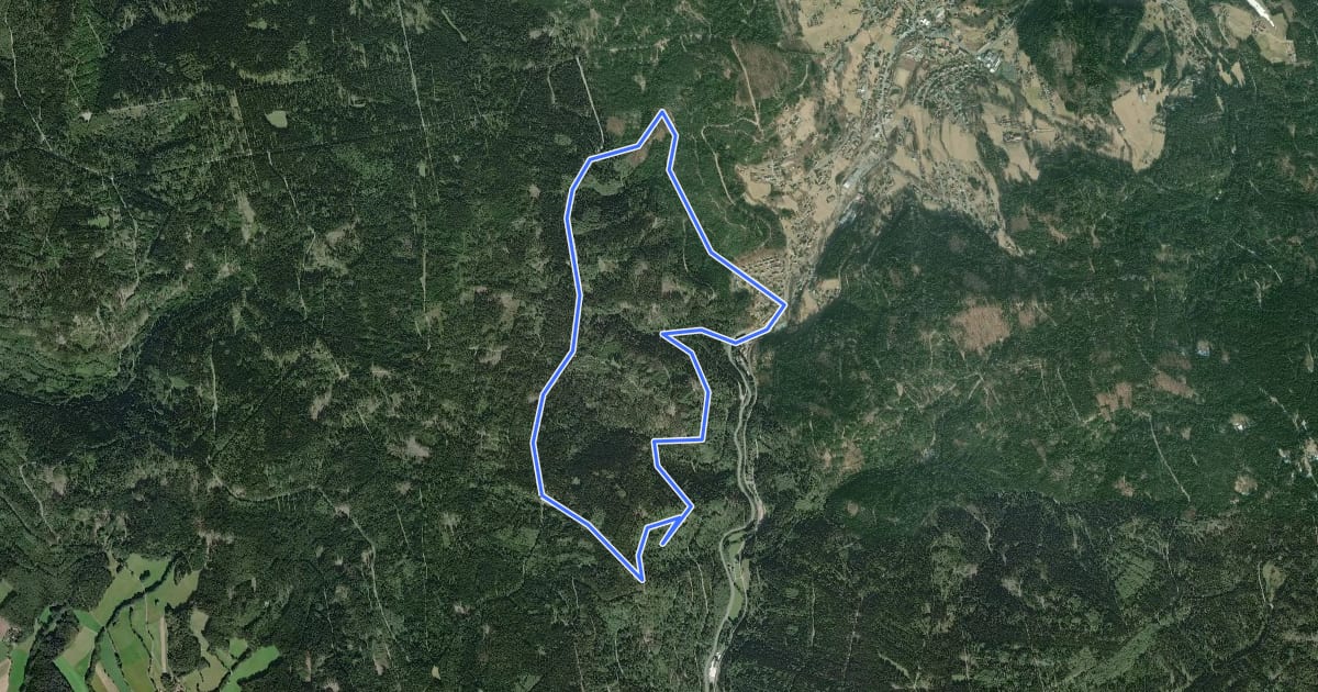Маршрут Warmensteinach Rundwanderweg Nr. 8 на спутниковом снимке