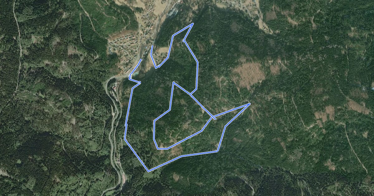 Маршрут Warmensteinach Rundwanderweg Nr. 9 на спутниковом снимке