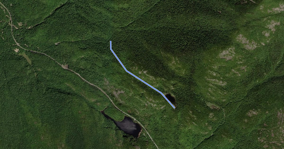 Маршрут Washbowl Trail на спутниковом снимке