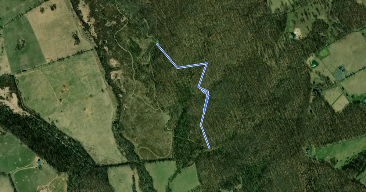 Маршрут Washington's Ridge Trail на спутниковом снимке