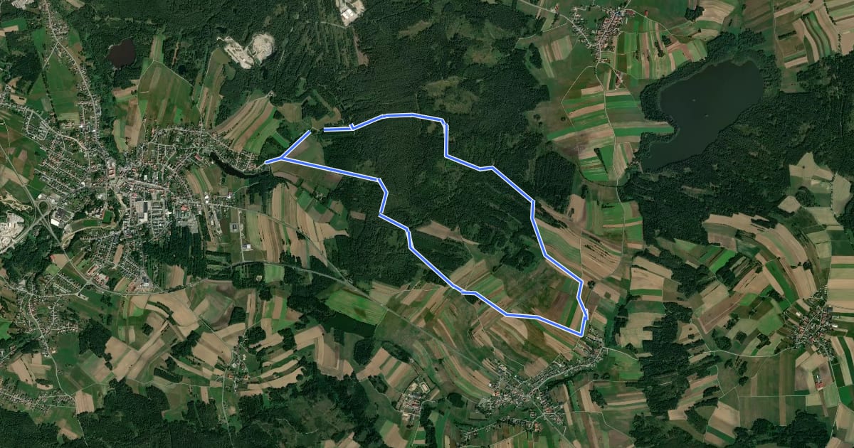 Маршрут Wasser-Wiese-Wald (W6) на спутниковом снимке