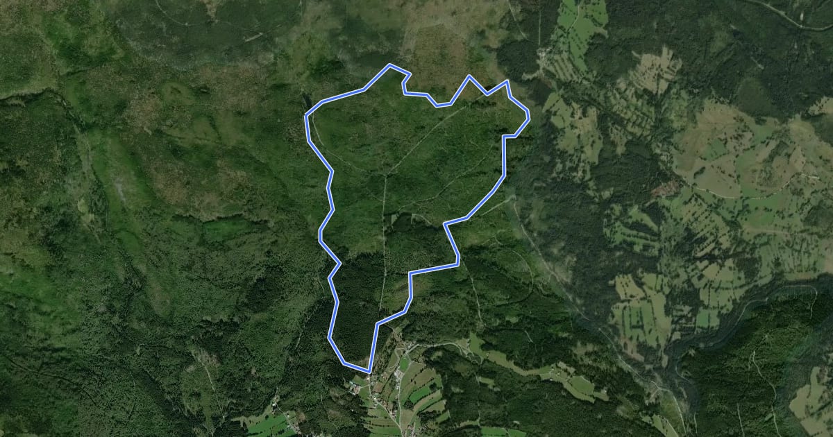 Маршрут Wasseramsel на спутниковом снимке