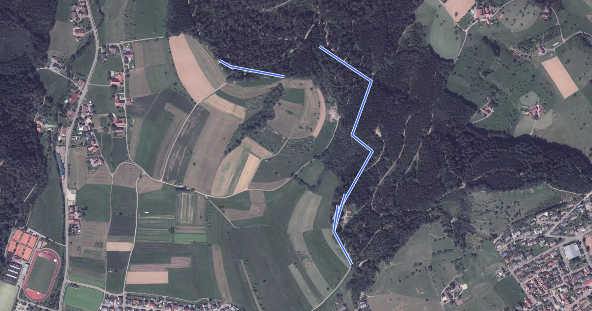 Маршрут Wasserbehälter Eckwald - Neuhauser Rebberg на спутниковом снимке